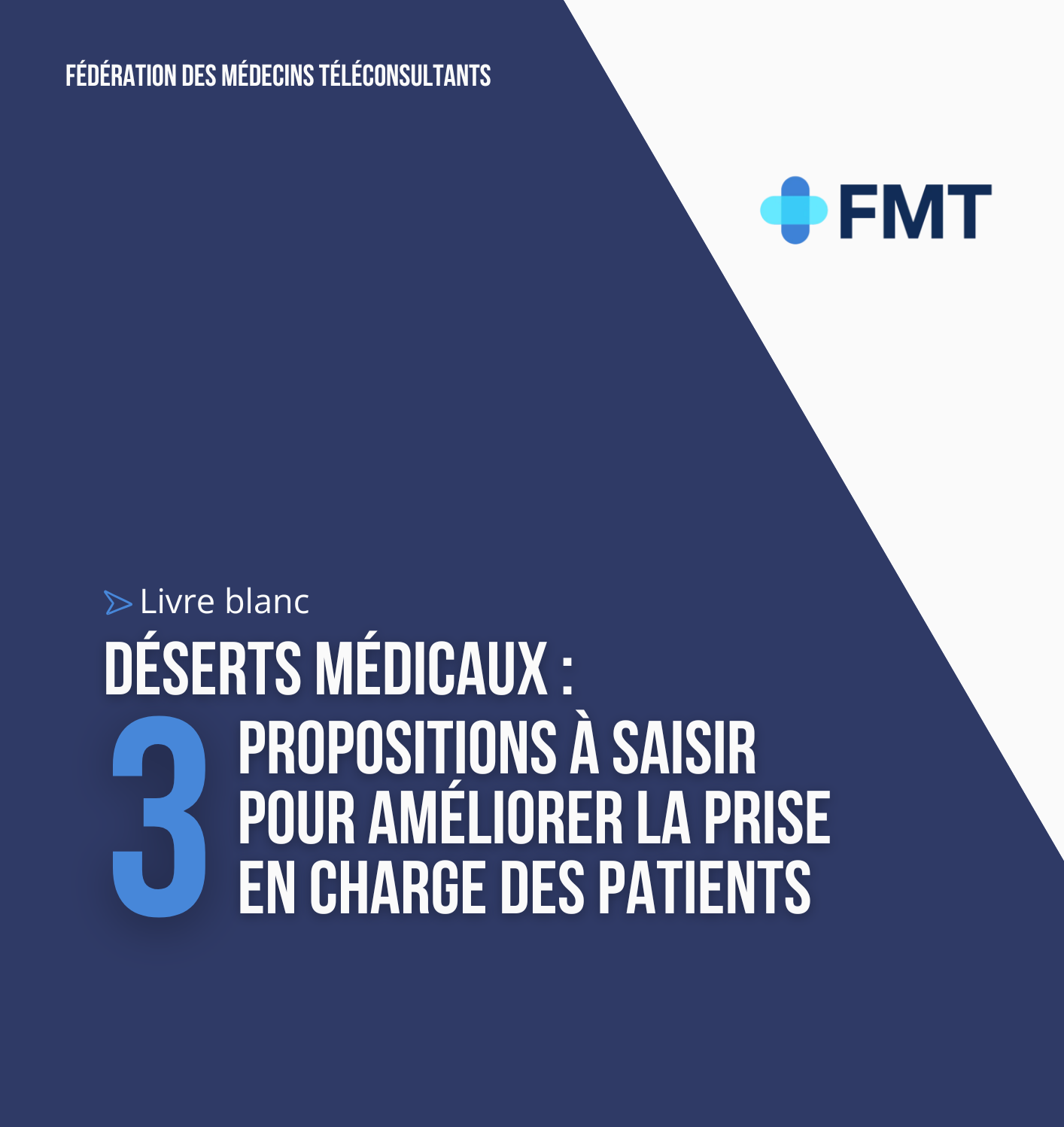 Livre blanc FMT (A4)-2